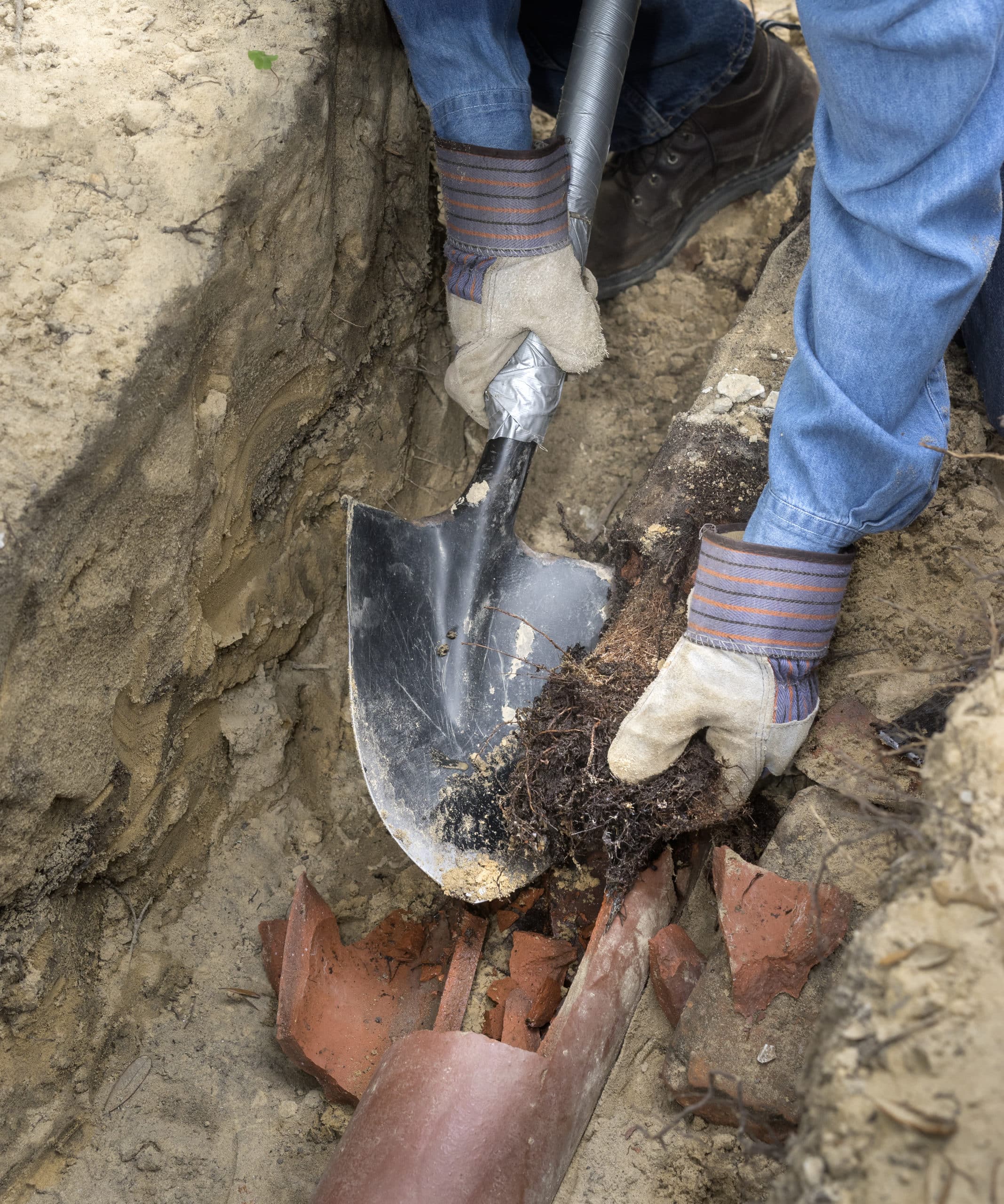 main sewer line Ogden Utah sewer backup