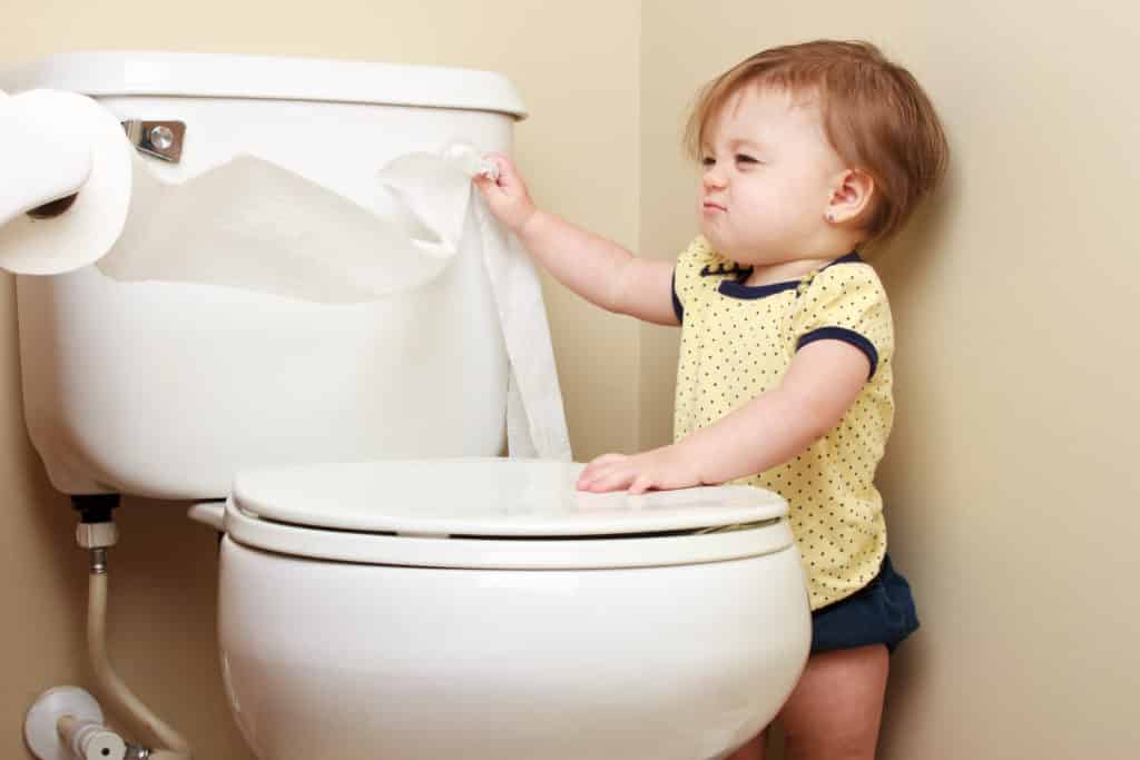 Ogden Utah Toilet Repairs