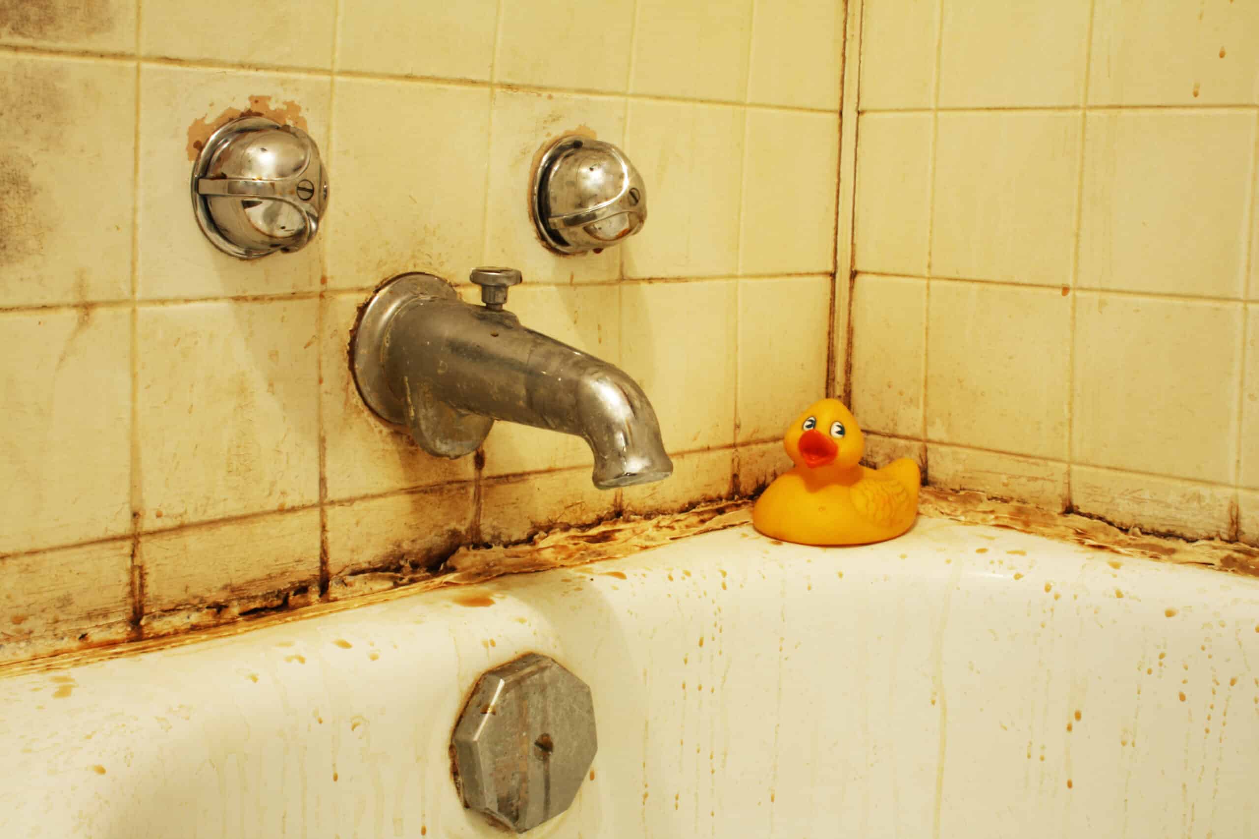 remove rust stains ogden utah