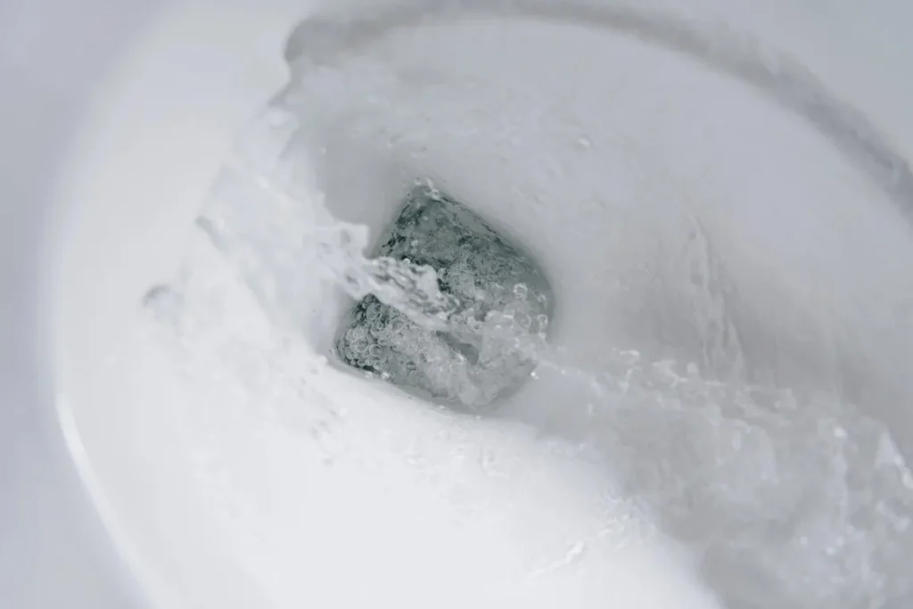 How to Choose the Perfect Toilet for Your Bathroom How to Choose the Right Toilet for Your Home