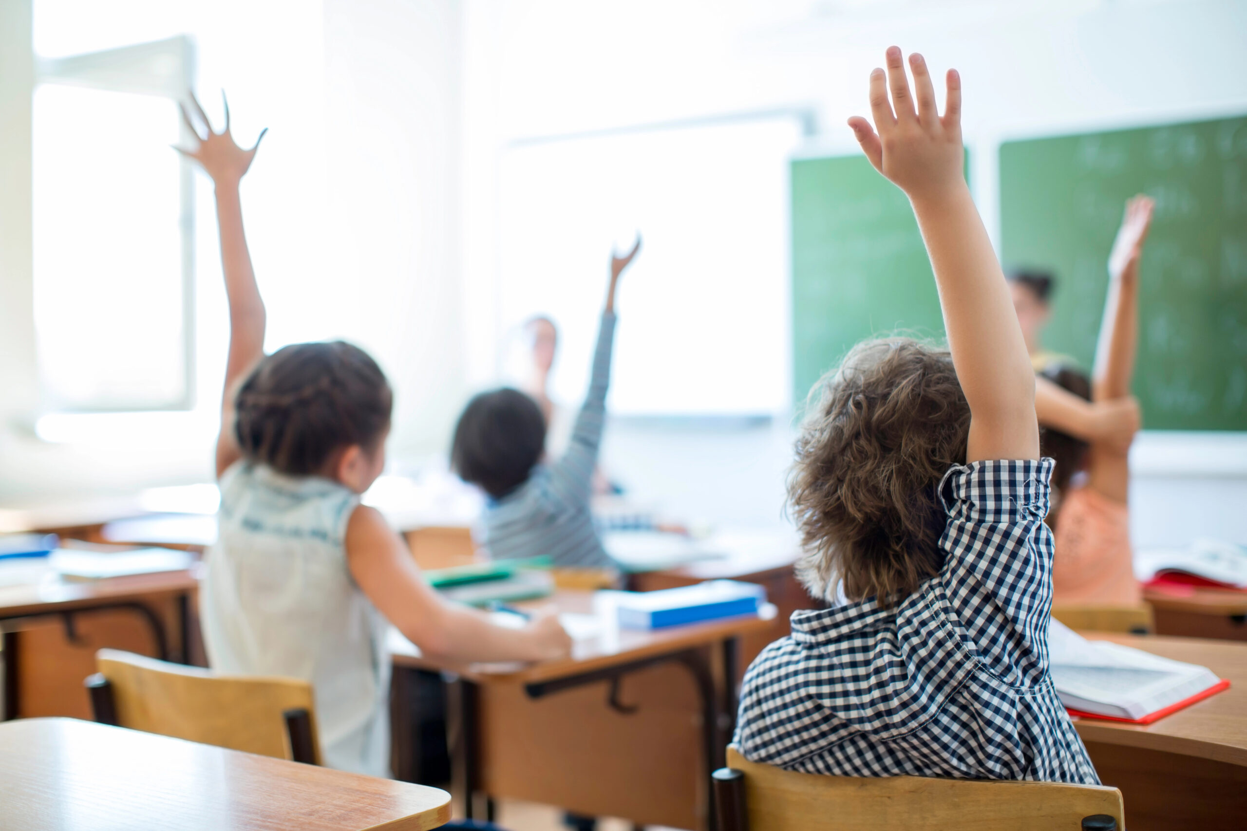 schools schools