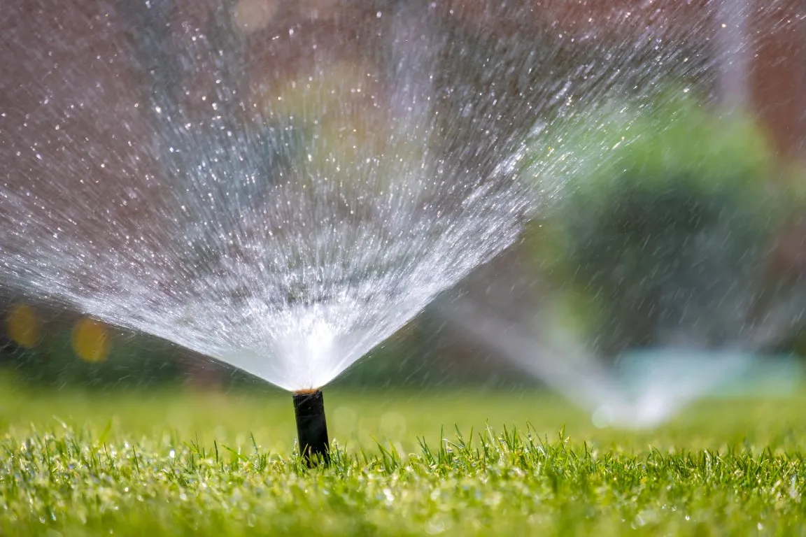 7 Summer Plumbing Issues and How to Avoid Them